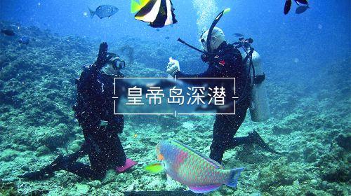 合金装备5